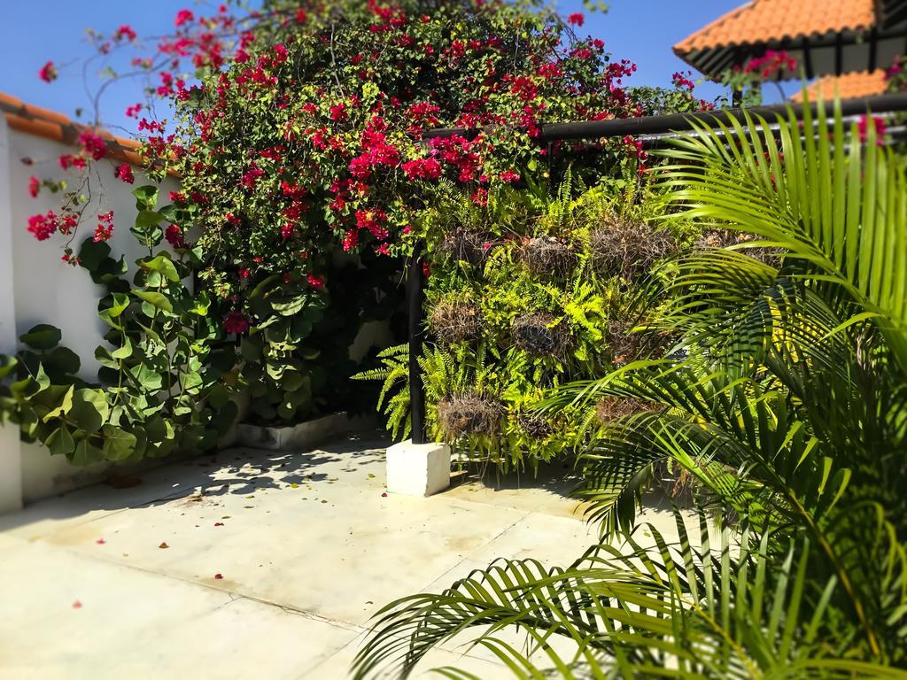 Casa Ines Bed and Breakfast Santa Marta  Exteriör bild